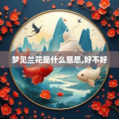 梦见兰花是什么意思,好不好