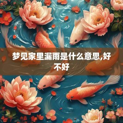 梦见家里漏雨是什么意思,好不好