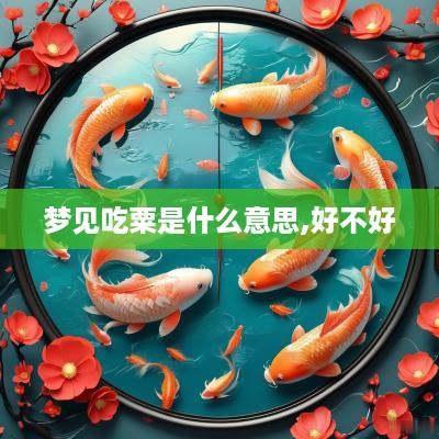 梦见吃粟是什么意思,好不好