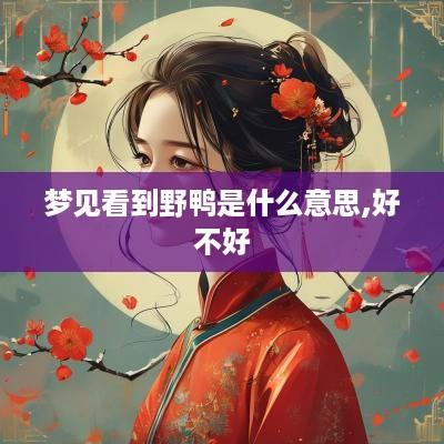 梦见看到野鸭是什么意思,好不好