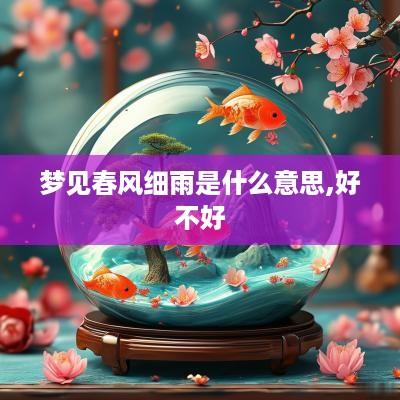 梦见春风细雨是什么意思,好不好