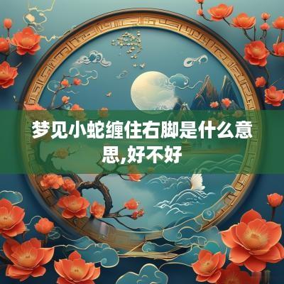 梦见小蛇缠住右脚是什么意思,好不好