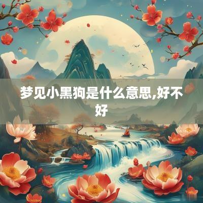 梦见小黑狗是什么意思,好不好