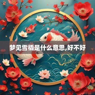 梦见雪橇是什么意思,好不好