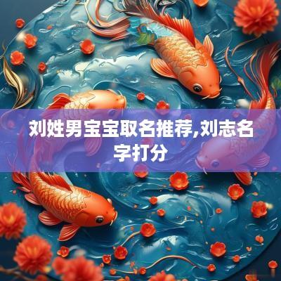 刘姓男宝宝取名推荐,刘志名字打分