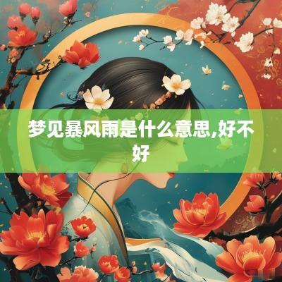 梦见暴风雨是什么意思,好不好