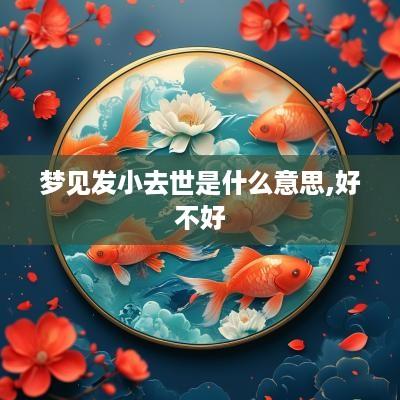 梦见发小去世是什么意思,好不好
