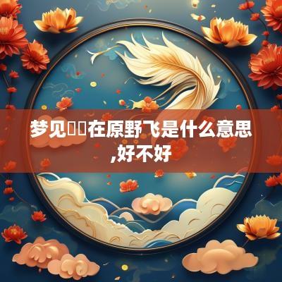 梦见鹡鸰在原野飞是什么意思,好不好
