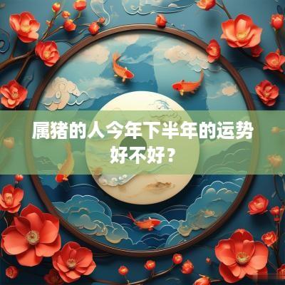 属猪的人今年下半年的运势好不好？