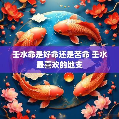 壬水命是好命还是苦命 壬水最喜欢的地支