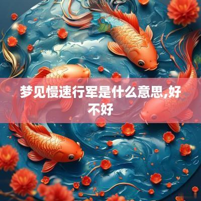 梦见慢速行军是什么意思,好不好