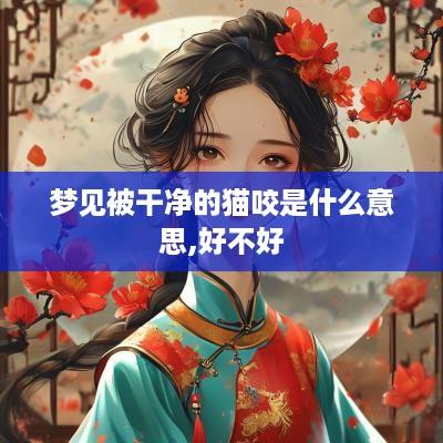 梦见被干净的猫咬是什么意思,好不好