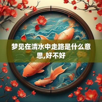梦见在清水中走路是什么意思,好不好