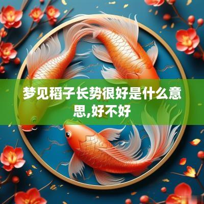 梦见稻子长势很好是什么意思,好不好