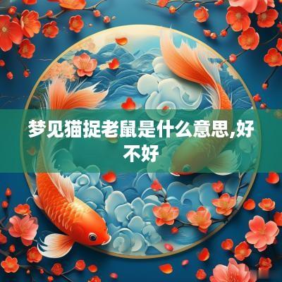 梦见猫捉老鼠是什么意思,好不好