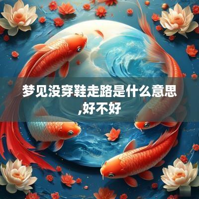 梦见没穿鞋走路是什么意思,好不好