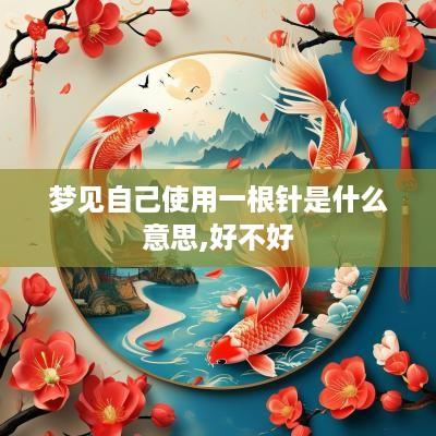 梦见自己使用一根针是什么意思,好不好