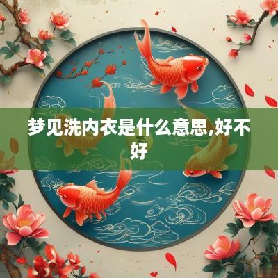 梦见洗内衣是什么意思,好不好