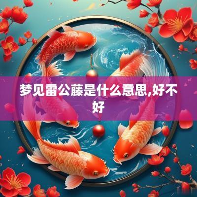 梦见雷公藤是什么意思,好不好