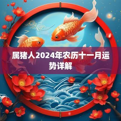 属猪人2025年农历十一月运势详解