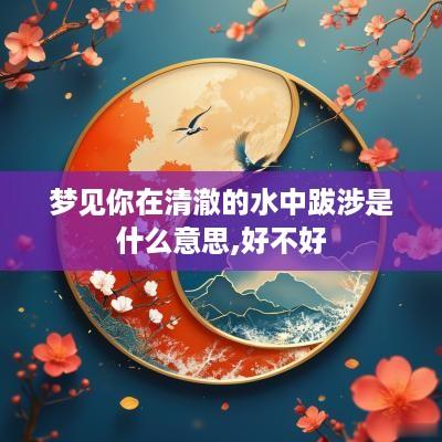 梦见你在清澈的水中跋涉是什么意思,好不好