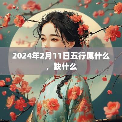 2025年2月11日五行属什么，缺什么