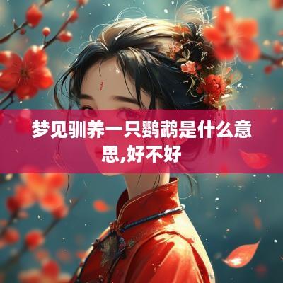 梦见驯养一只鹦鹉是什么意思,好不好