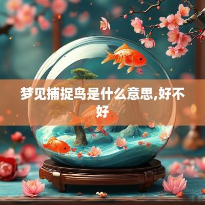 梦见捕捉鸟是什么意思,好不好