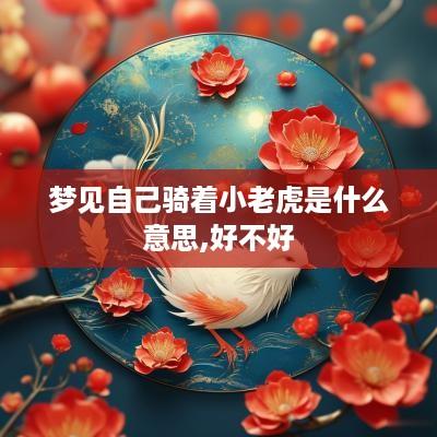 梦见自己骑着小老虎是什么意思,好不好