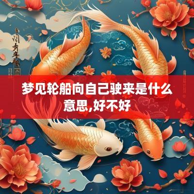 梦见轮船向自己驶来是什么意思,好不好