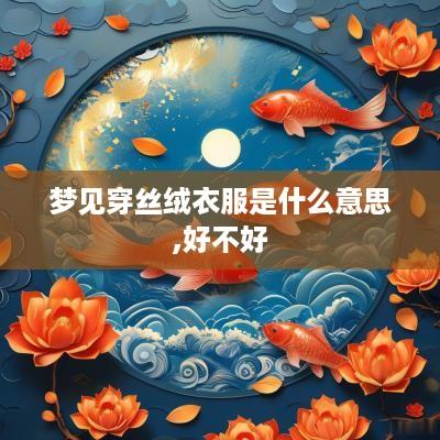 梦见穿丝绒衣服是什么意思,好不好