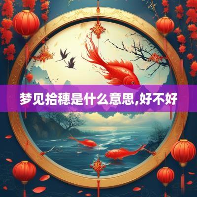 梦见拾穗是什么意思,好不好