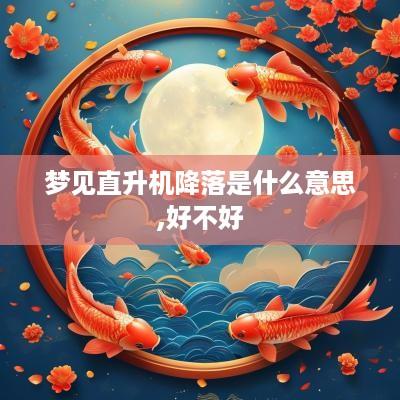 梦见直升机降落是什么意思,好不好