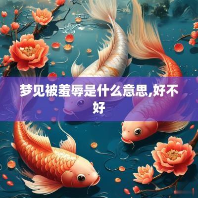 梦见被羞辱是什么意思,好不好