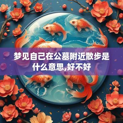 梦见自己在公墓附近散步是什么意思,好不好