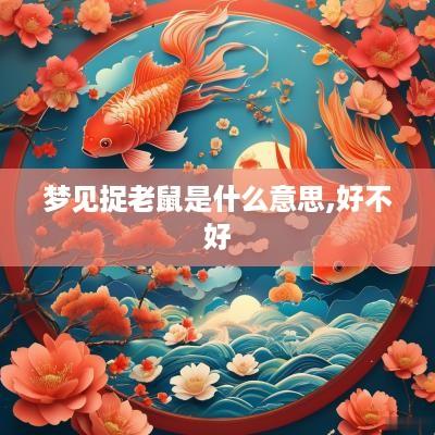 梦见捉老鼠是什么意思,好不好