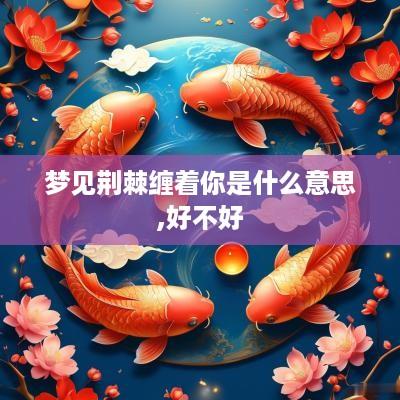 梦见荆棘缠着你是什么意思,好不好