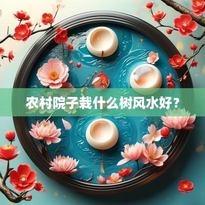 农村院子栽什么树风水好？