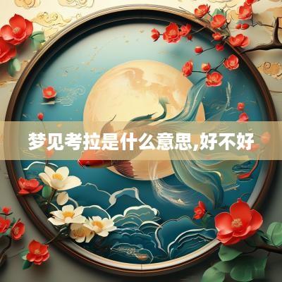 梦见考拉是什么意思,好不好