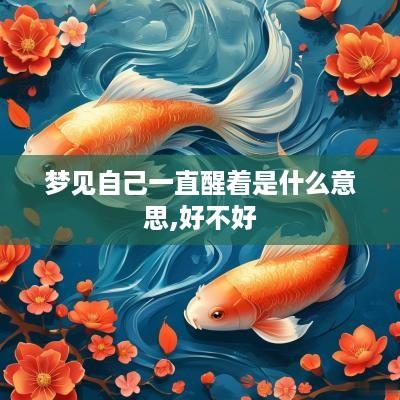 梦见自己一直醒着是什么意思,好不好