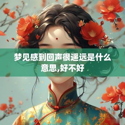 梦见感到回声很遥远是什么意思,好不好