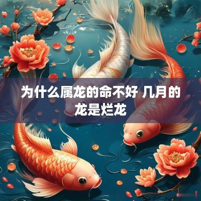 为什么属龙的命不好 几月的龙是烂龙