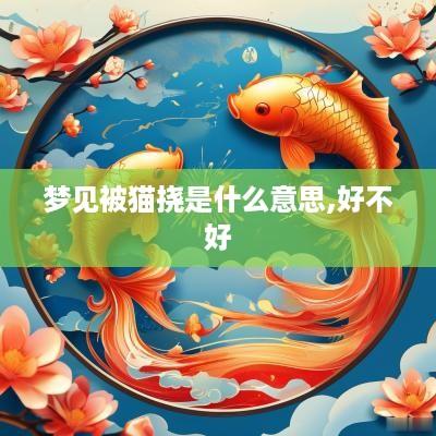 梦见被猫挠是什么意思,好不好