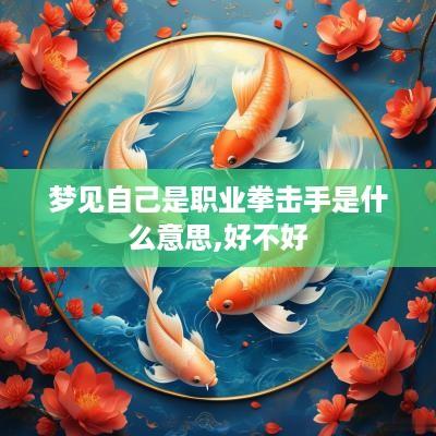 梦见自己是职业拳击手是什么意思,好不好