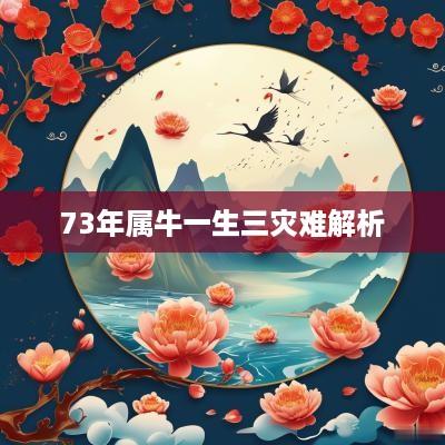 73年属牛一生三灾难解析