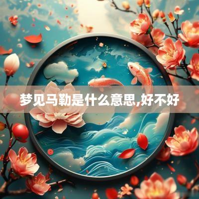 梦见马勒是什么意思,好不好