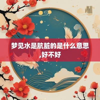梦见水是肮脏的是什么意思,好不好