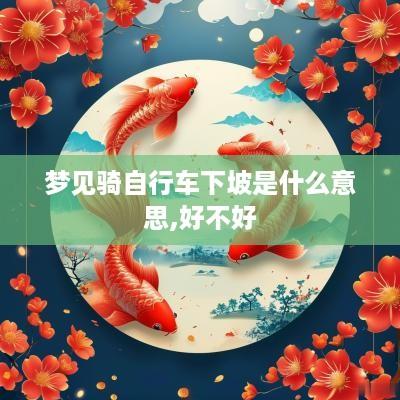梦见骑自行车下坡是什么意思,好不好
