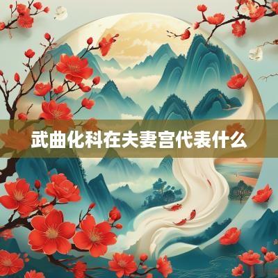 武曲化科在夫妻宫代表什么