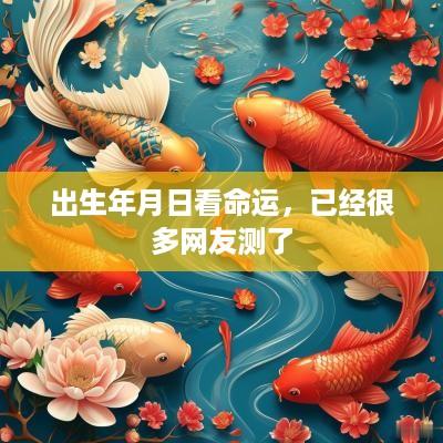 出生年月日看命运，已经很多网友测了